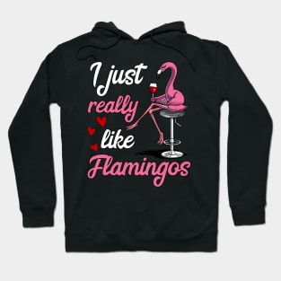 I Just Really Like Flamingo Birds Funny Wine Drinking Party Hoodie